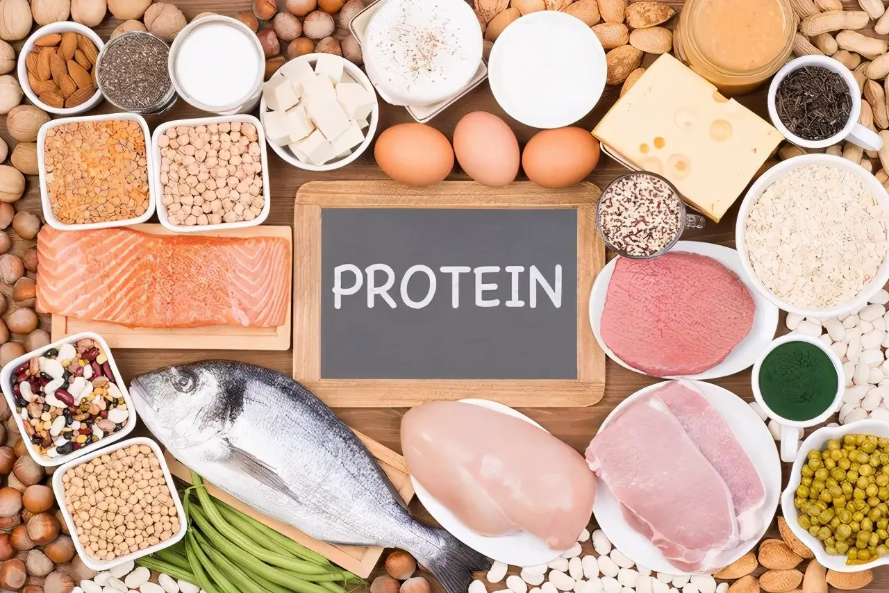 蛋白质的作用，蛋白质有助头发吗？